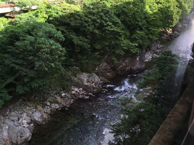 hEzeڊy̕]ށAu₩_̑f炵]łBiQ/Qj_㉷