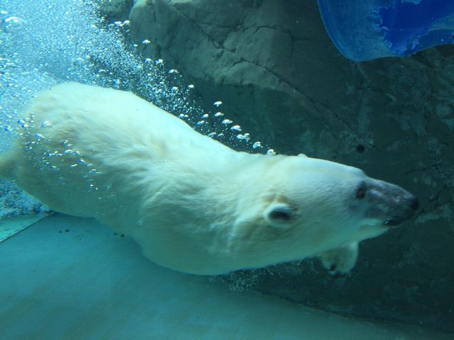 �V���N�}���C�L�C�L���Ă܂����B_���R������