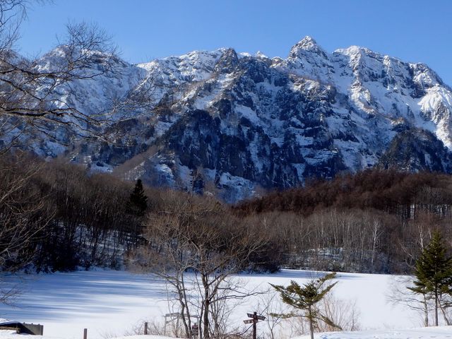 �X���̋��r�ƌˉB�A�R�̐��_���r