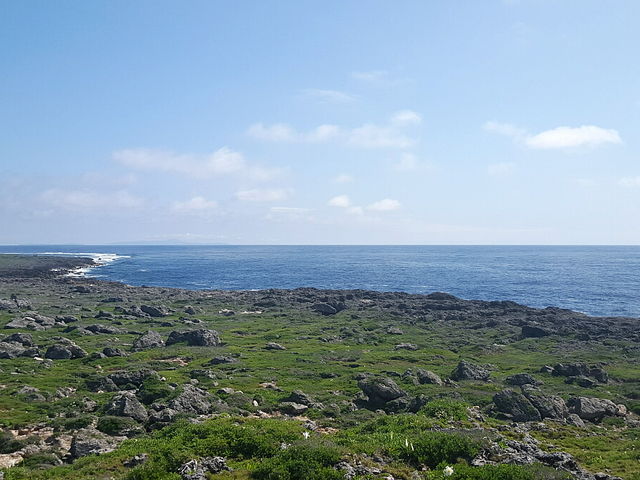 �ق�Ƃ��킢_���ߍ�