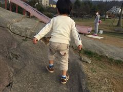 せいちゃんママさんの福井少年運動公園の投稿写真1