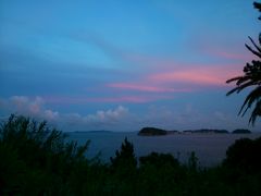 ���ԉ꓇�̎ʐ^1