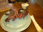 gougou����̉��P�̓��e�ʐ^1