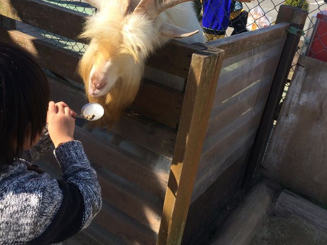 バリューセンタートリアス久山