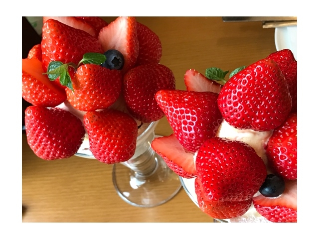 ߂̍AEptF_t[cp[[ ނ͂