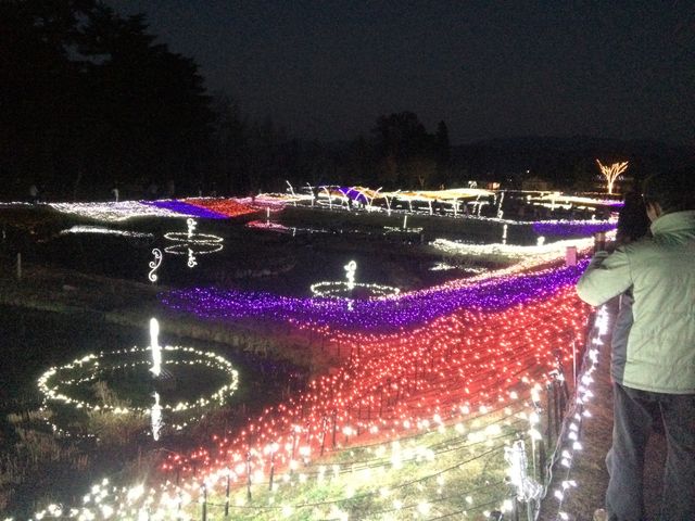 ���ꂢ�`_���c�A���v�X���Â݂̌����@�x���E�䍂�n��