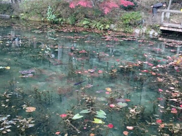 ���������x_���l�̒r�@�򕌌�