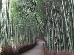 񂵂񂳂̒|т̓ւ̓eʐ^1