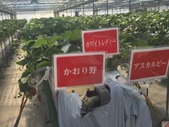 ЂƂ݂񂳂̃OّOcւ̓eʐ^1