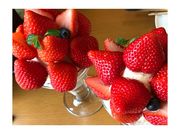 hirorỹt[cp[[ ނ͂̓eʐ^1