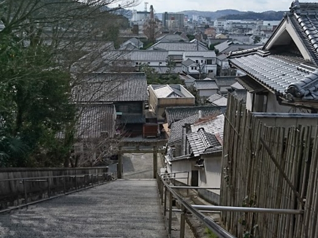 �r���ł���������_���q�_��