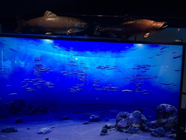 �������u�悤�����v_�T�P�̂ӂ邳�Ɛ�ΐ�����