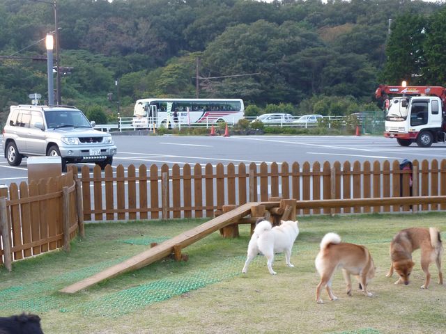 ���V�я�_�ɓ��������̉w�����ς�ہ[��