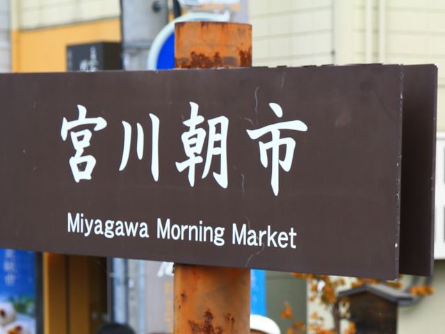 s_ʉَq̓X@ŕۉ@{쒩sX