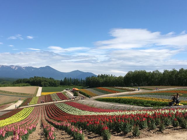 ��������̉�_�l�G�ʂ̋u