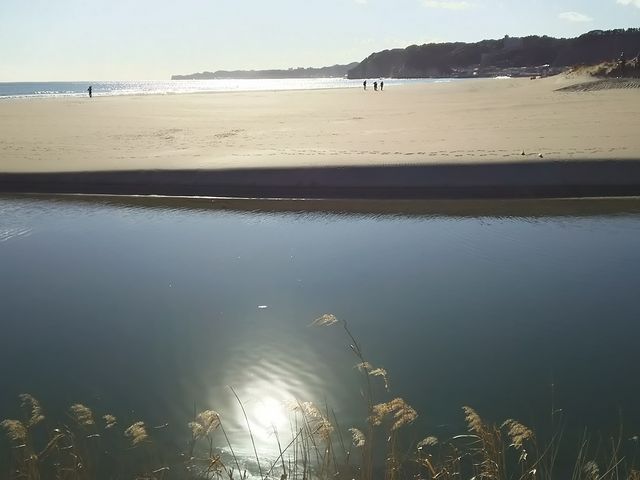 ���̍����B�E��͓����B_��h�C��