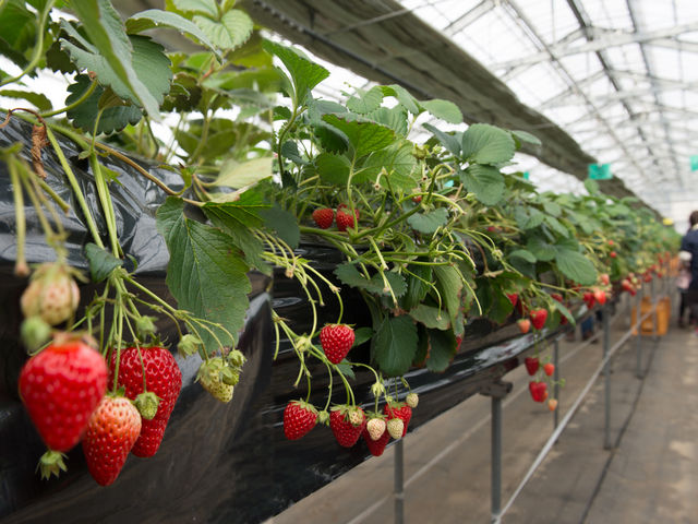 ��˂�������_��˂�������