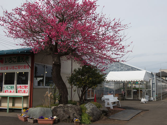 ��˂�������_��˂�������