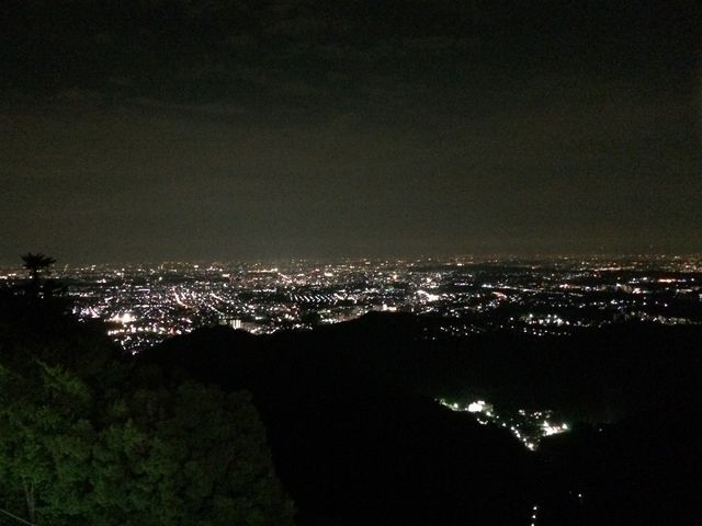 �r�A�K�[�f������̖�i_�����R�r�A�}�E���g