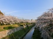 ۂƂ񂳂̎R̍̓eʐ^1