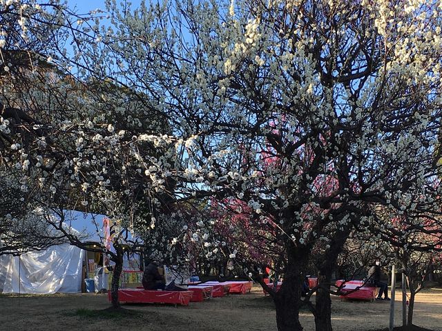 ����_���R�Βn�����̔~