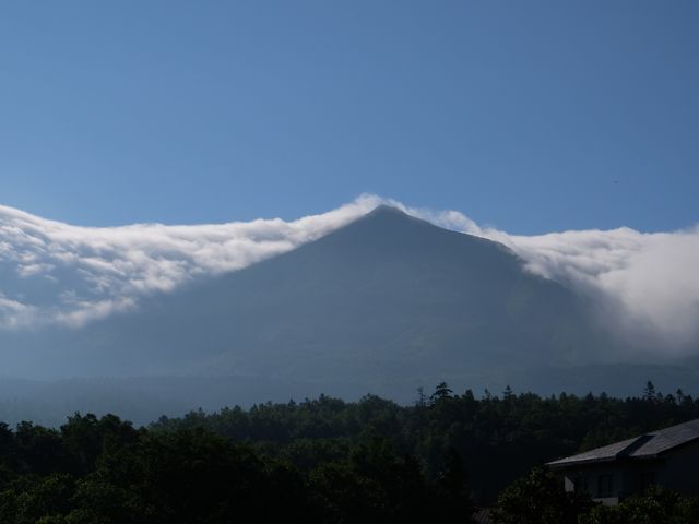 �_���������Ă܂�_���l�x�m