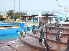 ̓mr[`h&mቤւ̓eʐ^1