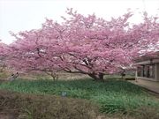 ������̋g������̓��e�ʐ^1