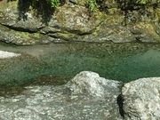 `bN̒쉷ԂȂ̓̓eʐ^1