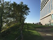 `bÑEBU[O[gs[NIuEg[̓eʐ^1