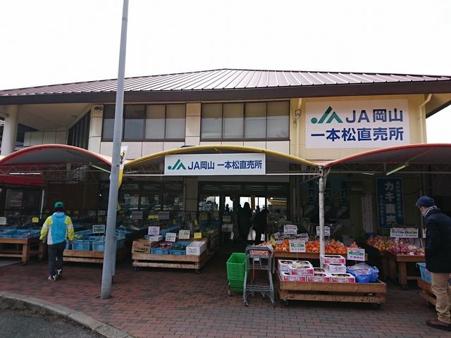 入り口の右手側で、生牡蠣の販売をしていました。_道の駅 一本松展望園