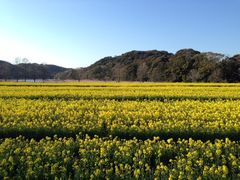 ka7beẻPJrW^[Z^[ւ̓eʐ^1