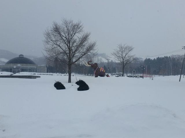 �i�E�}�����̐e�q_�\���i�E�}������z�e���A���R