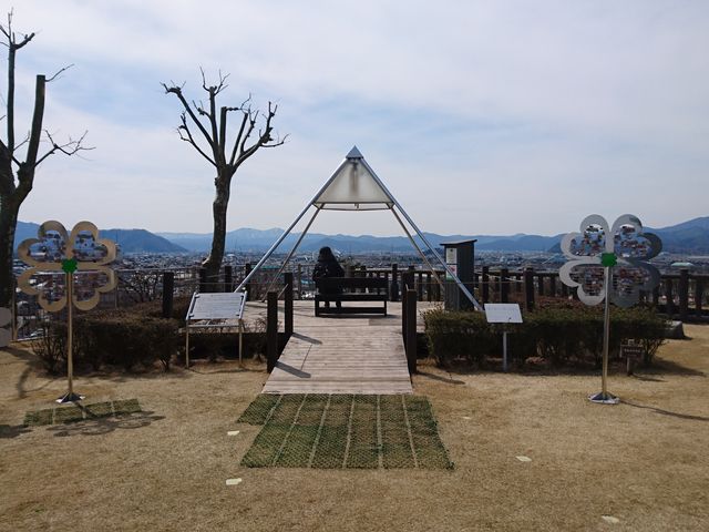 ���т̃`���C��_���R�����W�]��