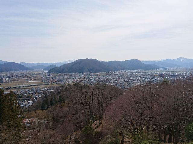 �W�]�䂩��̒���1_���R�����W�]��