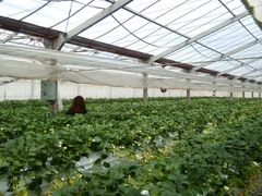 kyama503̓VaDւ̓eʐ^1