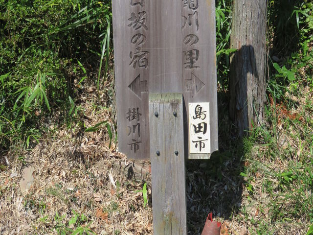 �s��_����̒��R