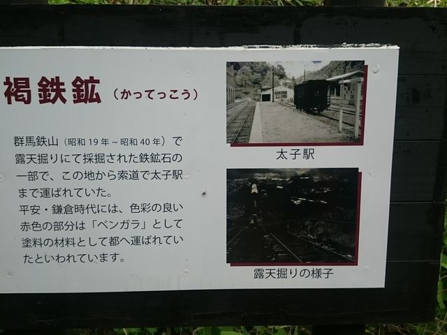 �S�z�΂��̌@�����Ղ��`���c�{�̗l�ł��B������_�`���c�{�~�S�P����