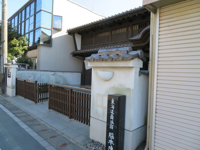 �e�{�w_����h�e�{�w