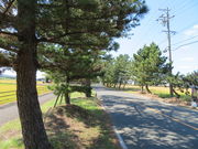 hakoneatami̋C̓eʐ^1