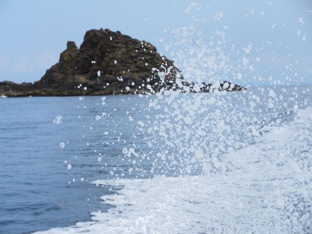 �D�ォ��_���M�̓��A�@���{�N���[�Y