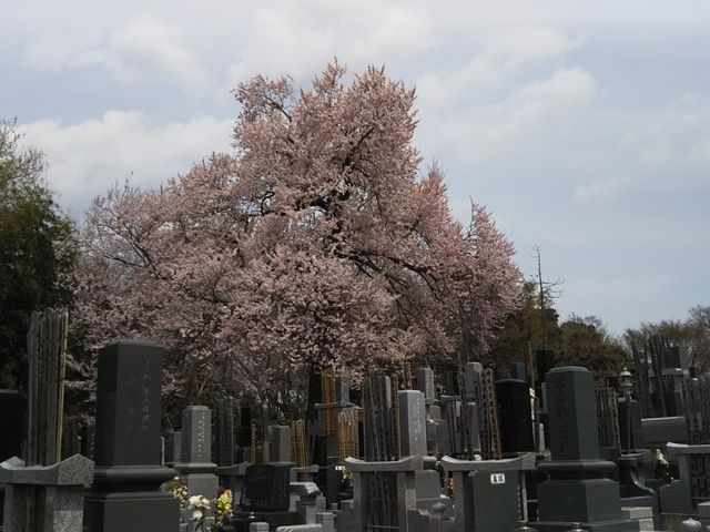 �揊�ŁB_����ɓ��̃G�h�q�K���U�N��