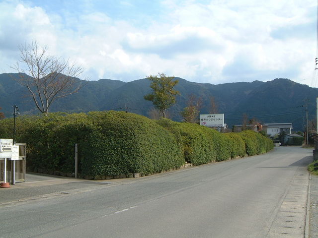 ���__�v���Ďs���E���Z���^�[