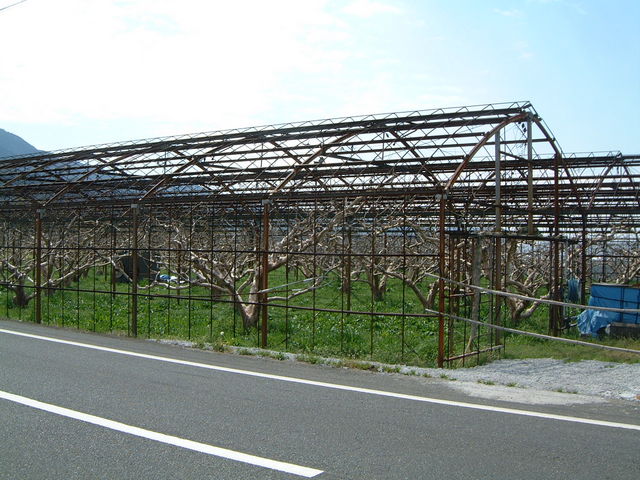 �ʎ���_�`���