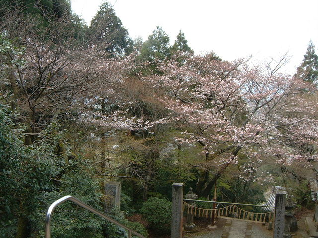 Ԃ񂳂̎{{ivĎsj̓eʐ^4