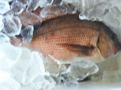 bL[̊Cޖx@ނ̓Cւ̓eʐ^1