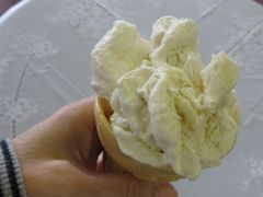 Ă̃~NH[zOZCt̎vւ̓eʐ^5