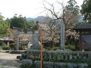 Ԃ񂳂̐{\͐_Ђ̓eʐ^1