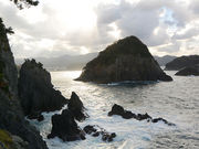 �C���J���񂳂�̑���̕@�W�]��̓��e�ʐ^6