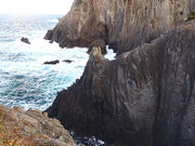 �C���J���񂳂�̑���̕@�W�]��̓��e�ʐ^7